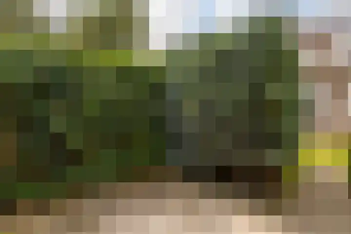 Gijsbrechtgaarde 242 Apeldoorn thumbnail 24