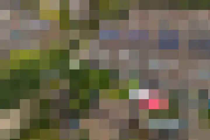 Gijsbrechtgaarde 242 Apeldoorn thumbnail 26