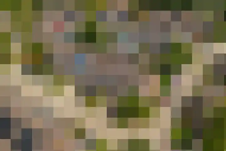 Gijsbrechtgaarde 242 Apeldoorn thumbnail 29