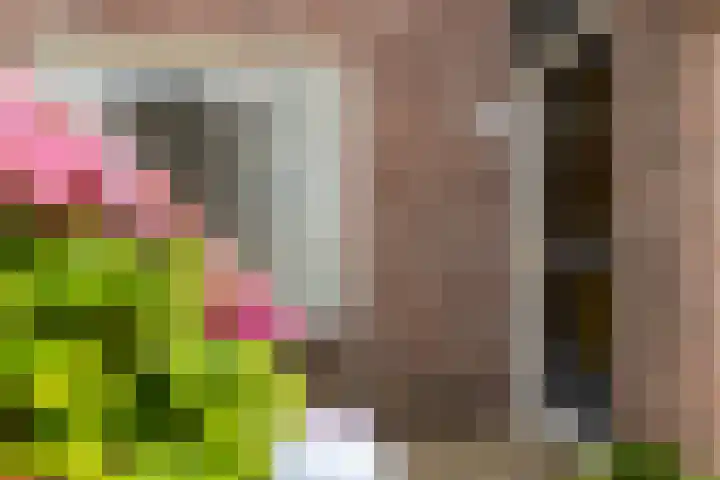 Gijsbrechtgaarde 242 Apeldoorn thumbnail 4