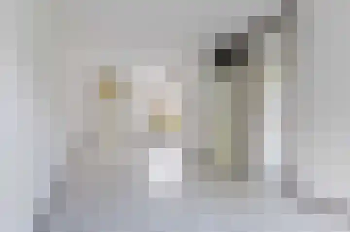 Gijsbrechtgaarde 242 Apeldoorn thumbnail 7