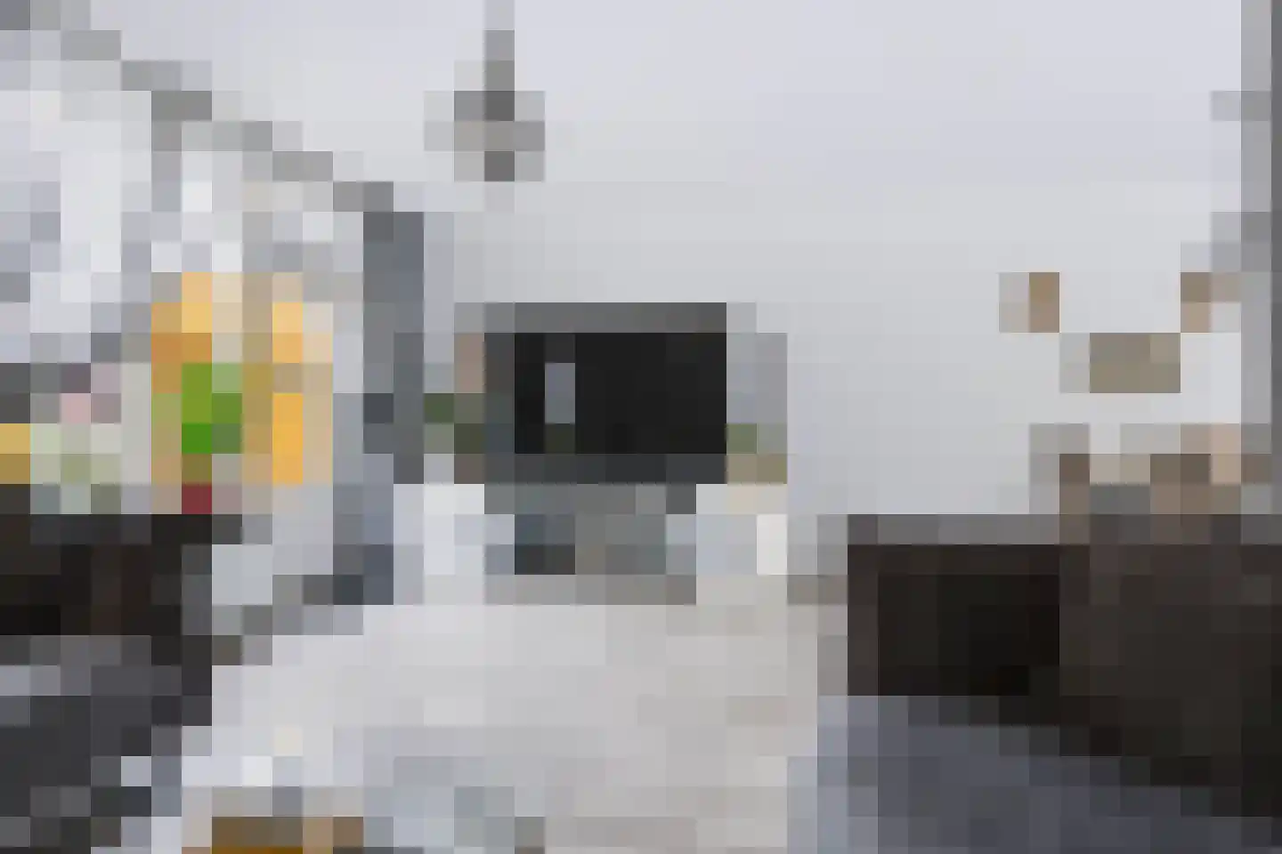 Gijsbrechtgaarde 308 Apeldoorn thumbnail 11