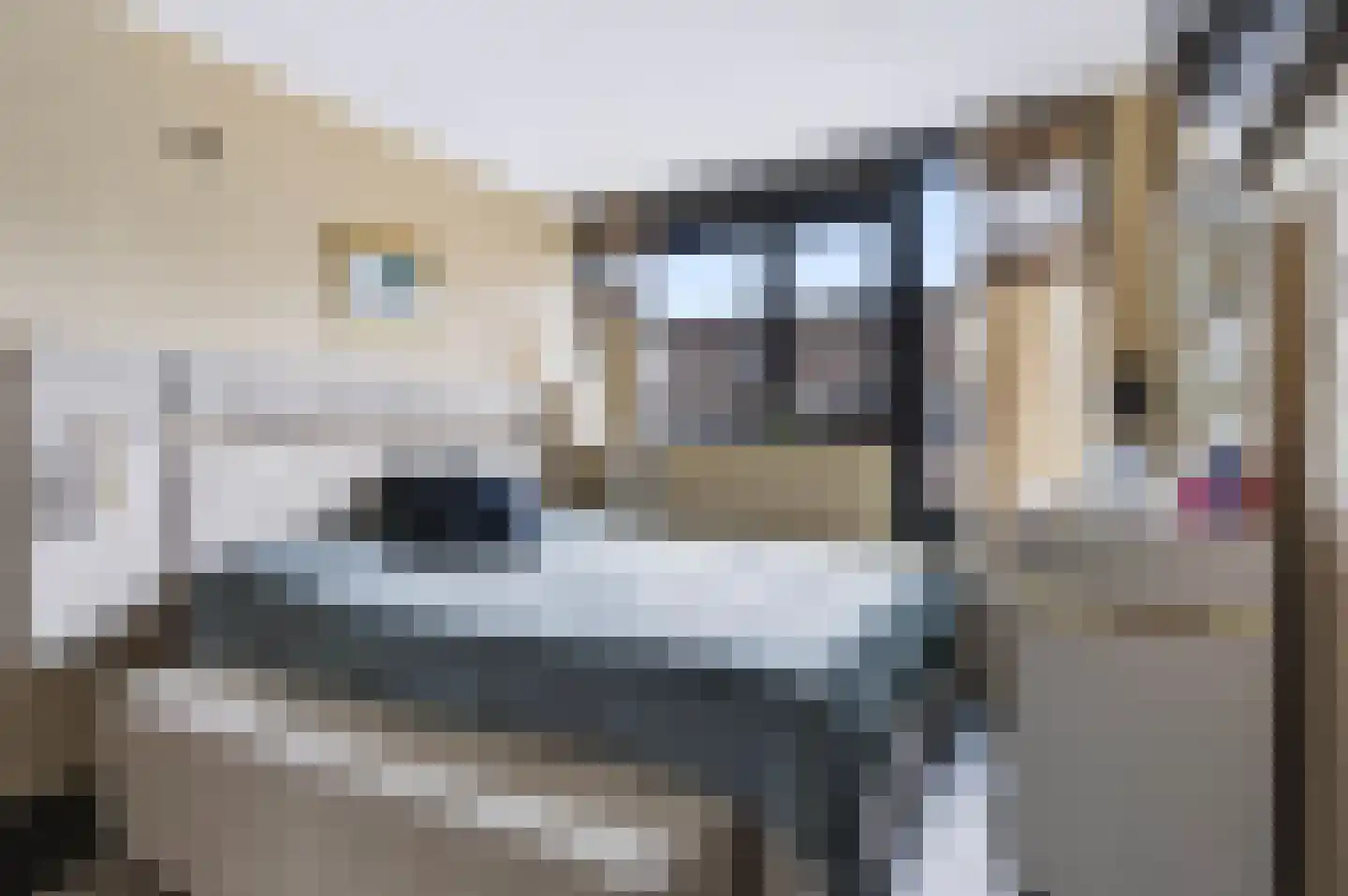Gijsbrechtgaarde 308 Apeldoorn thumbnail 27