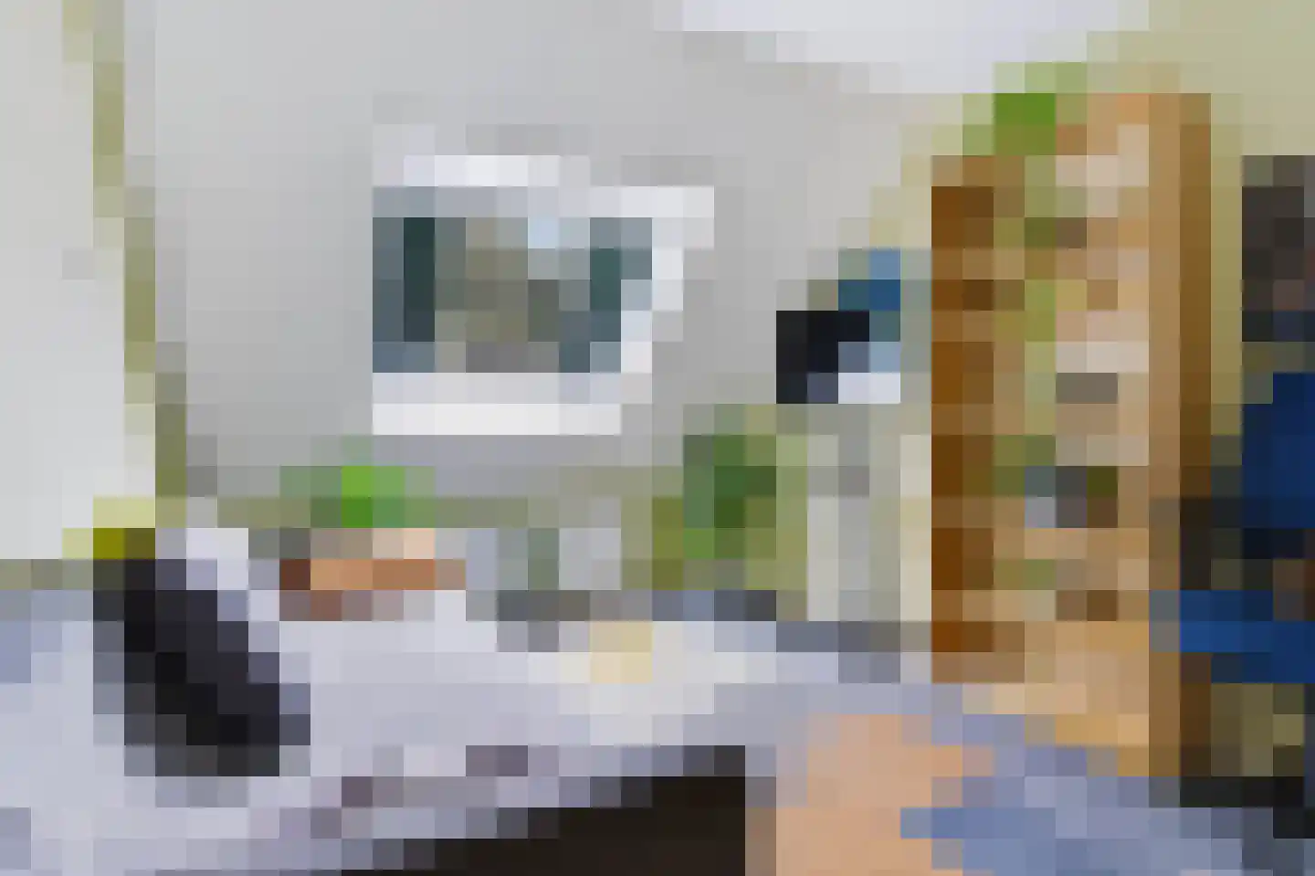 Gijsbrechtgaarde 308 Apeldoorn thumbnail 33