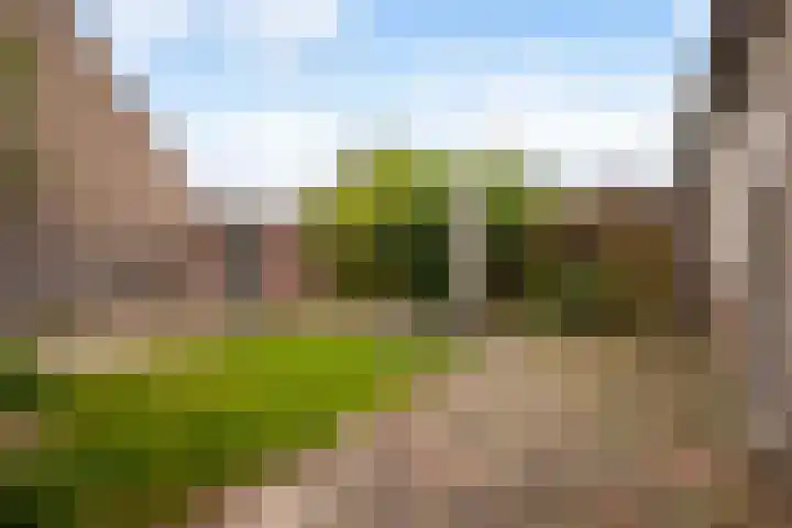 Gijsbrechtgaarde 327 Apeldoorn thumbnail 19