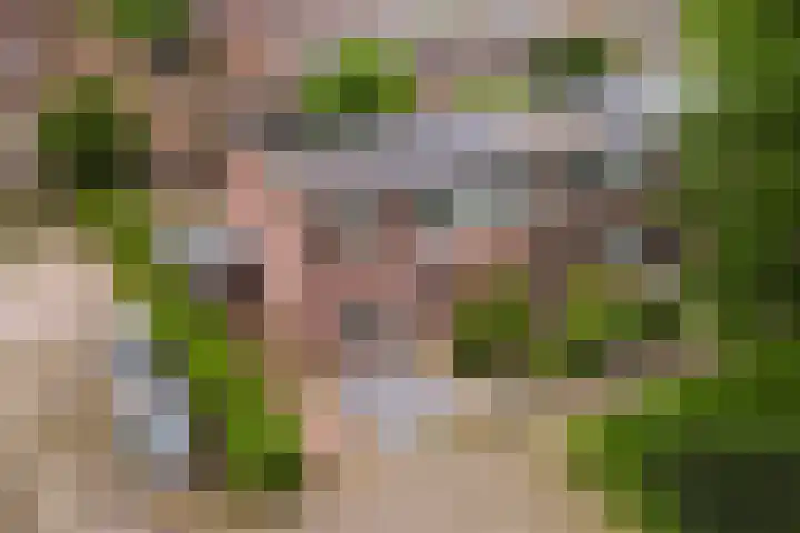 Gijsbrechtgaarde 327 Apeldoorn thumbnail 22