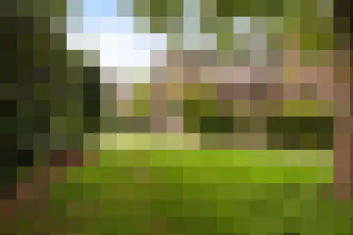 Gijsbrechtgaarde 327 Apeldoorn thumbnail 24