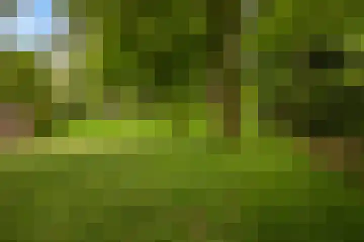 Gijsbrechtgaarde 327 Apeldoorn thumbnail 25
