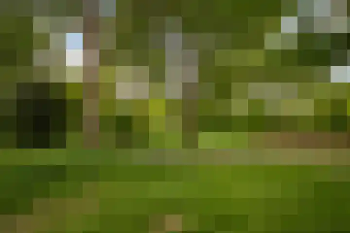 Gijsbrechtgaarde 327 Apeldoorn thumbnail 26