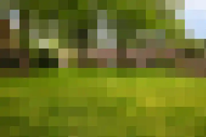 Gijsbrechtgaarde 327 Apeldoorn thumbnail 27
