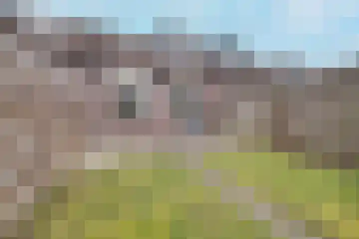 Gijsbrechtgaarde 334 Apeldoorn thumbnail 24