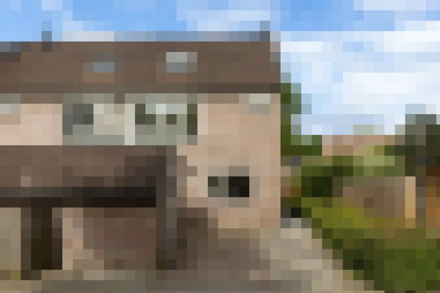 Gijsbrechtgaarde 504 Apeldoorn thumbnail 23