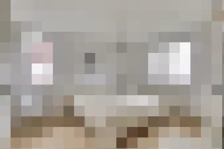 Gijselsweer 10 Raamsdonksveer thumbnail 14