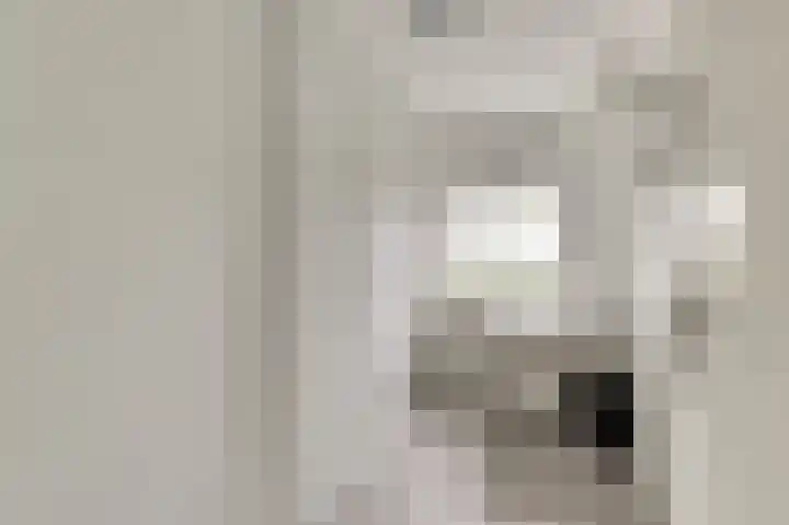Gijselsweer 10 Raamsdonksveer thumbnail 15