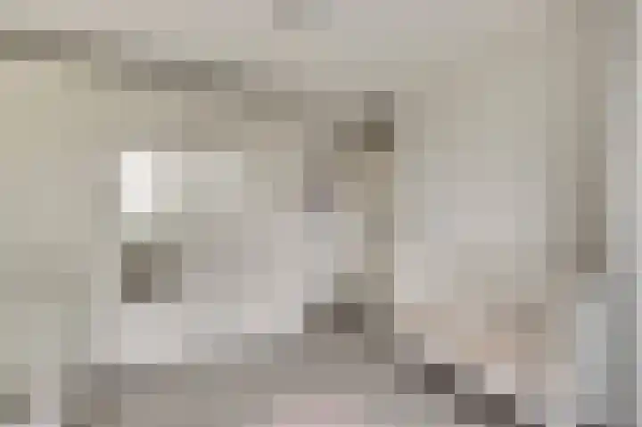 Gijselsweer 10 Raamsdonksveer thumbnail 16