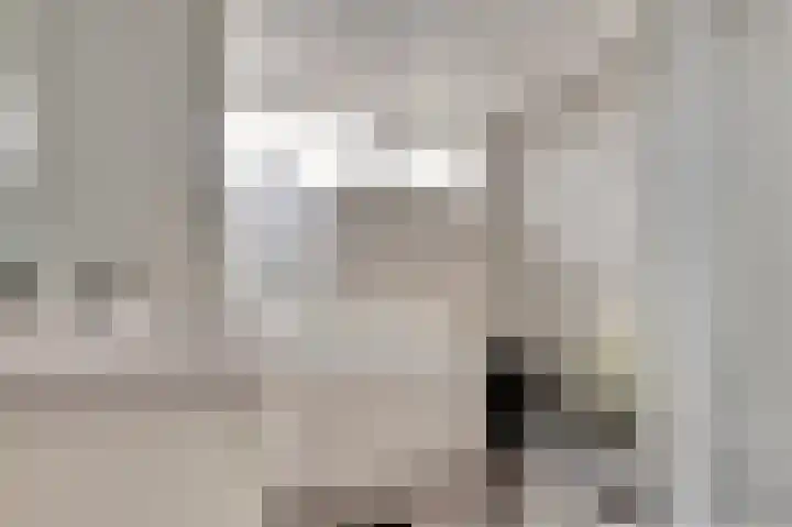 Gijselsweer 10 Raamsdonksveer thumbnail 23