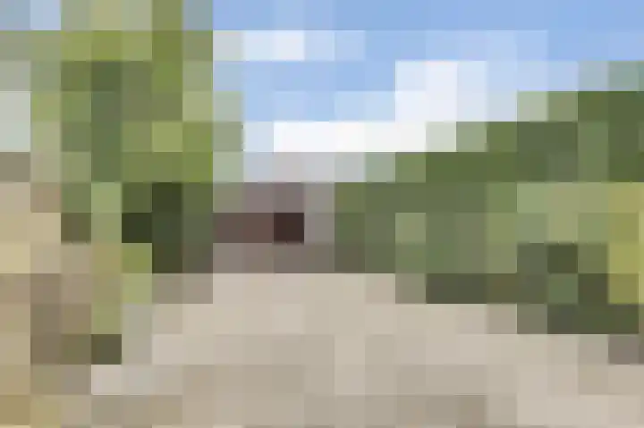 Gijselsweer 10 Raamsdonksveer thumbnail 25