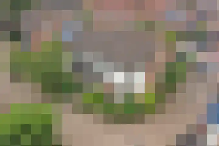 Gijselsweer 10 Raamsdonksveer thumbnail 32