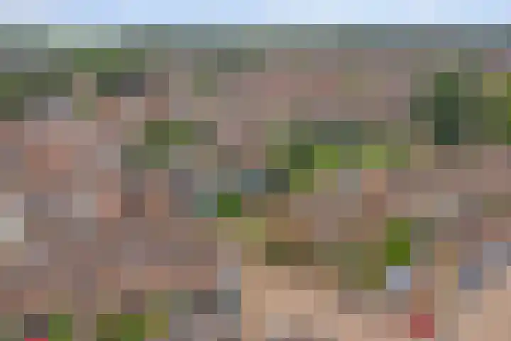 Gijselsweer 10 Raamsdonksveer thumbnail 37