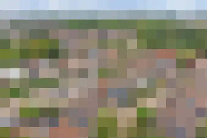 Gijselsweer 10 Raamsdonksveer thumbnail 39