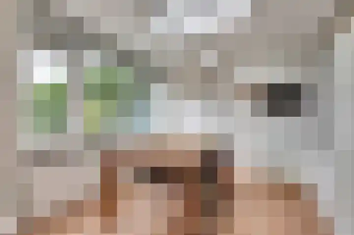 Gijselsweer 10 Raamsdonksveer thumbnail 7