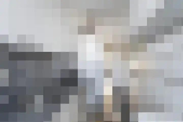 Gijsingstraat 100 A Rotterdam thumbnail 6