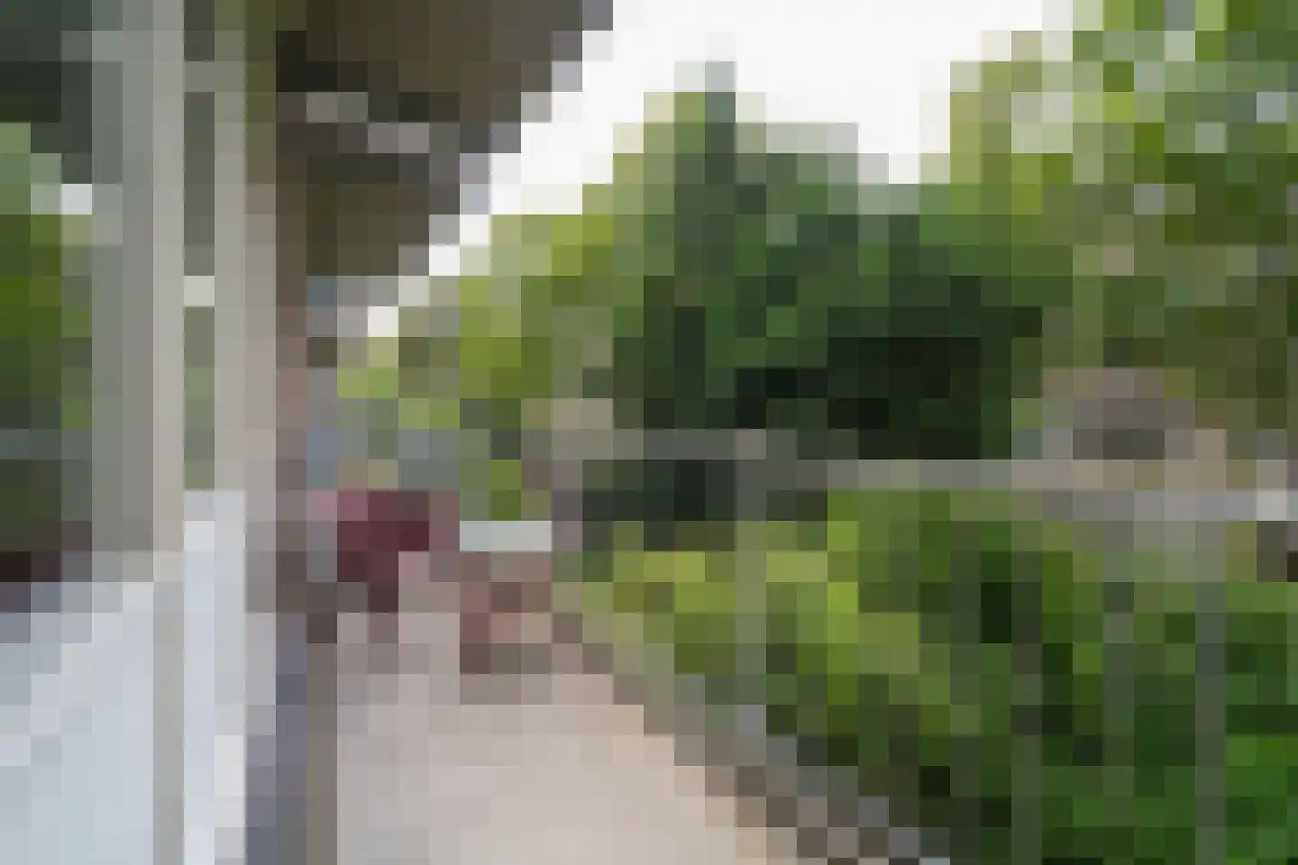 Gijsingstraat 44 C Rotterdam thumbnail 11