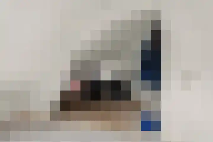 Gijsingstraat 73 C Rotterdam thumbnail 31