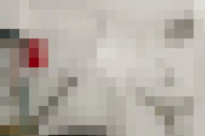 Gijsingstraat 73 C Rotterdam thumbnail 33