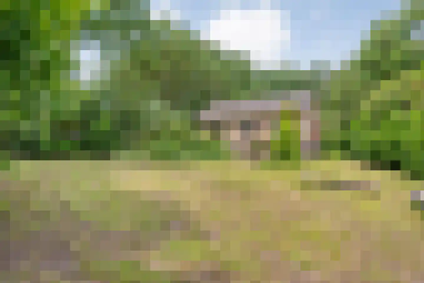 Gijsselterweg 27 Ruinen thumbnail 10