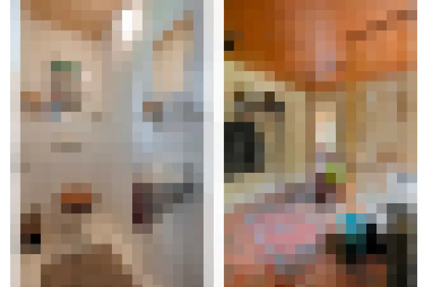 Gijsselterweg 27 Ruinen thumbnail 11