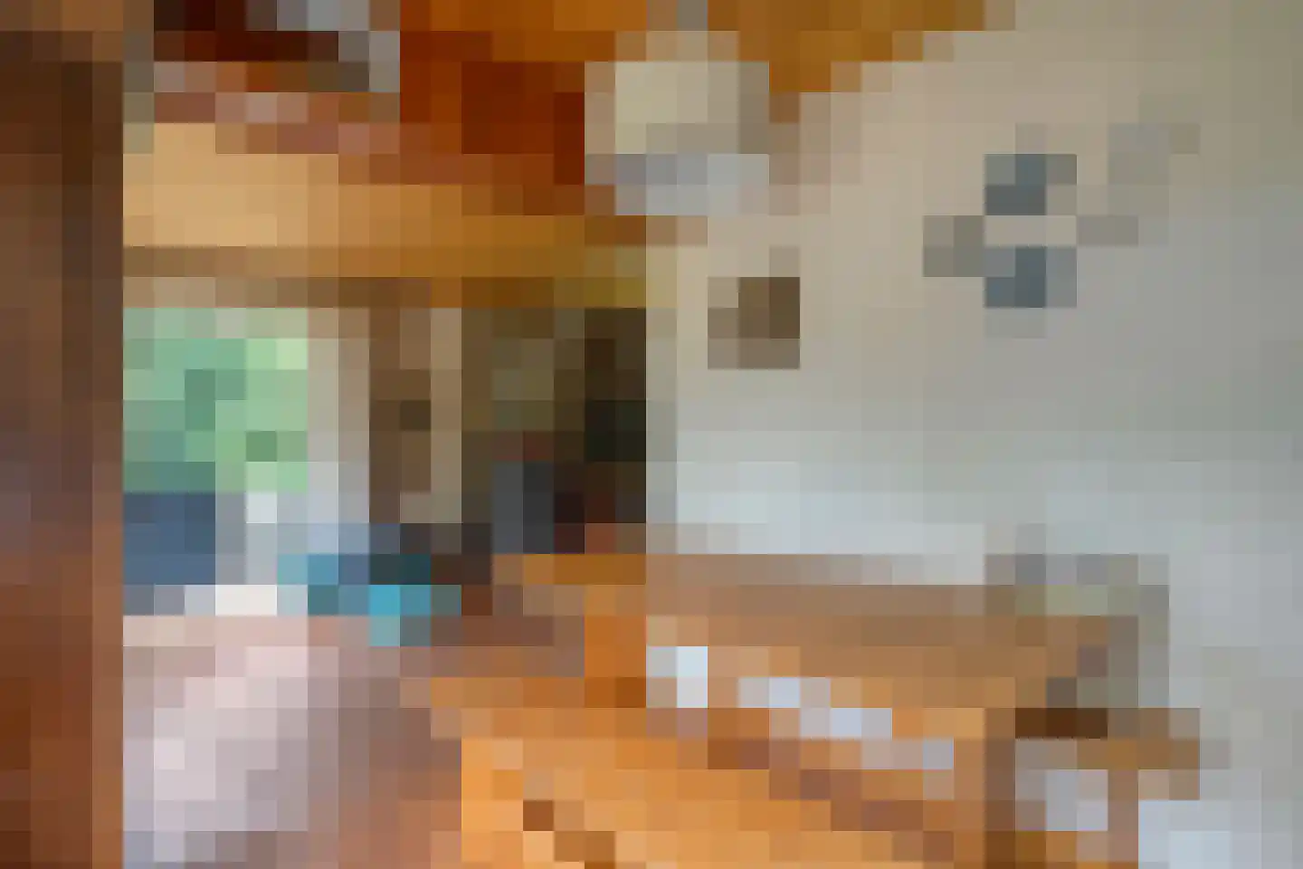 Gijsselterweg 27 Ruinen thumbnail 16