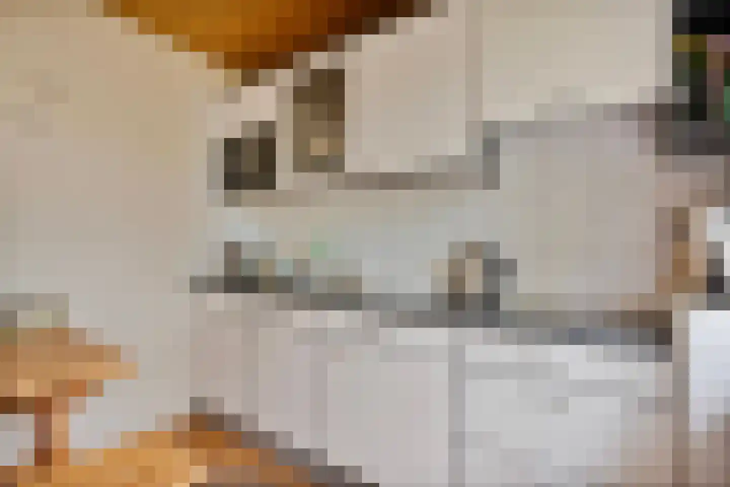 Gijsselterweg 27 Ruinen thumbnail 17