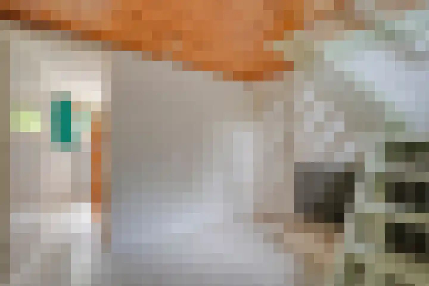 Gijsselterweg 27 Ruinen thumbnail 22