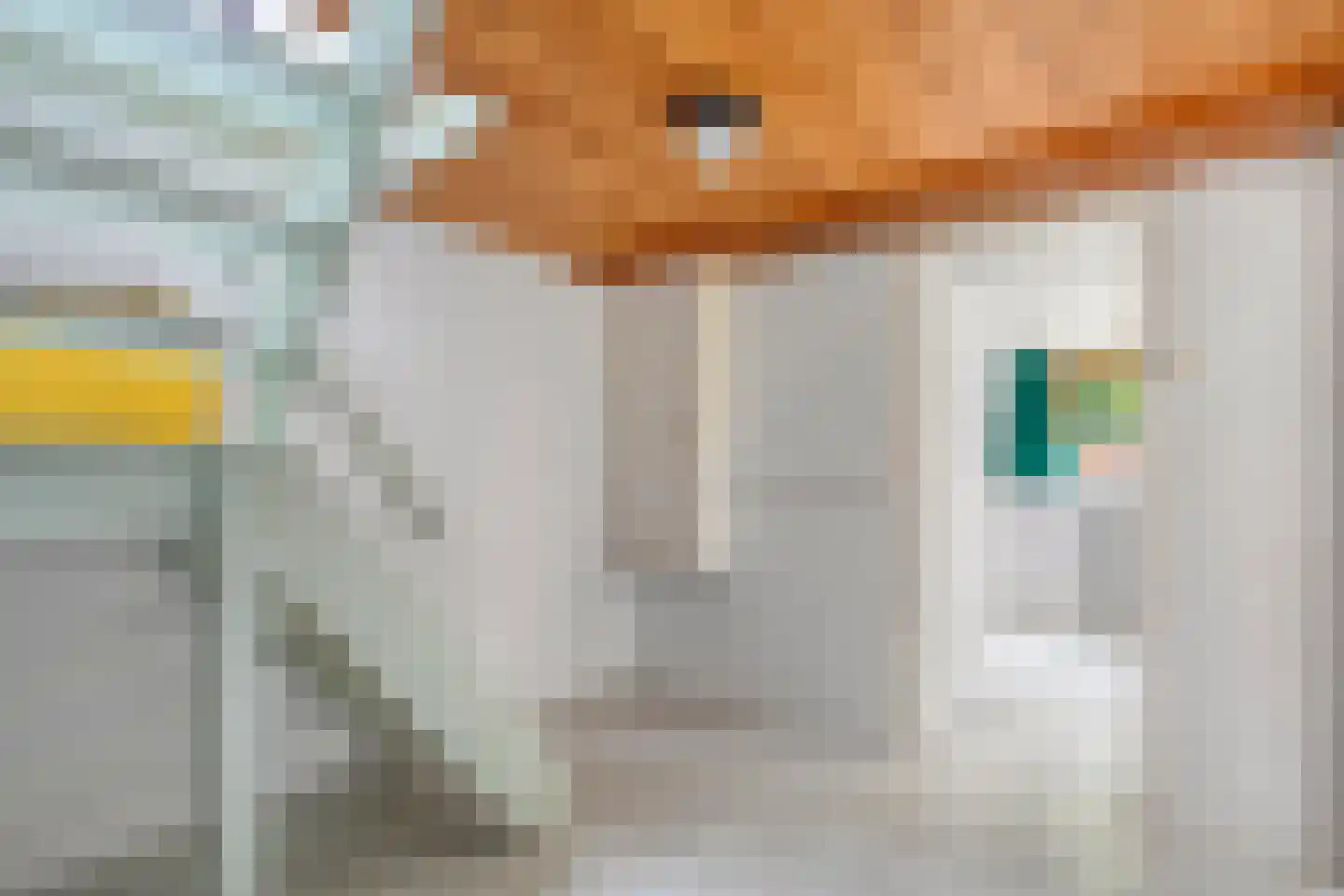 Gijsselterweg 27 Ruinen thumbnail 23