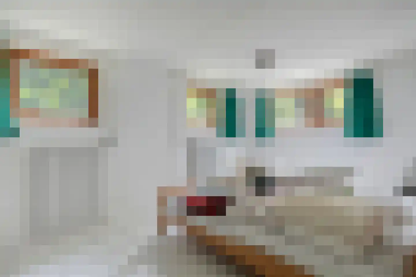 Gijsselterweg 27 Ruinen thumbnail 24