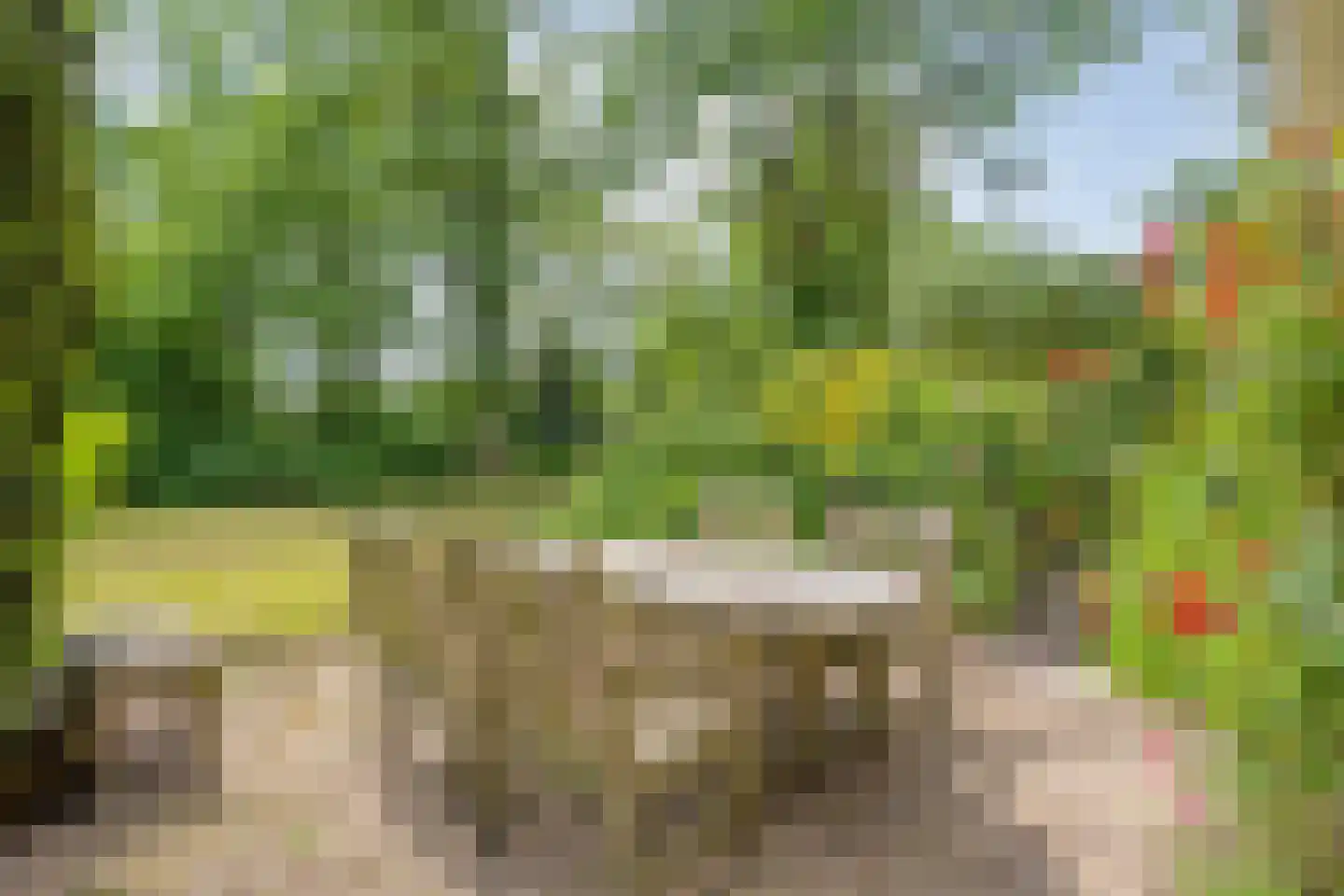 Gijsselterweg 27 Ruinen thumbnail 28