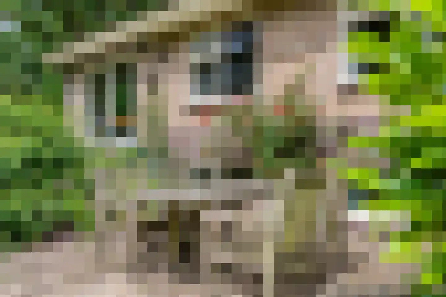 Gijsselterweg 27 Ruinen thumbnail 29
