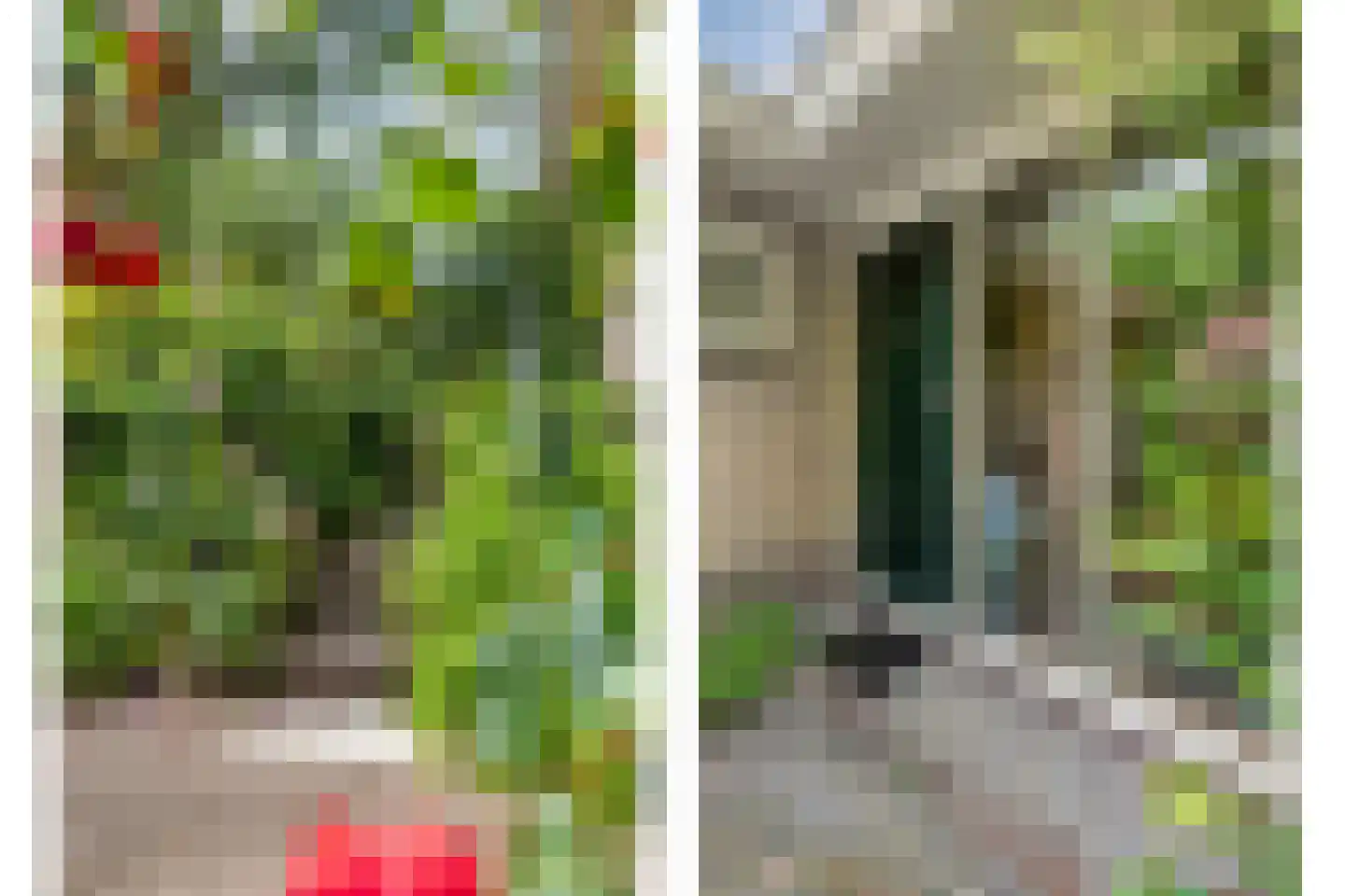 Gijsselterweg 27 Ruinen thumbnail 31