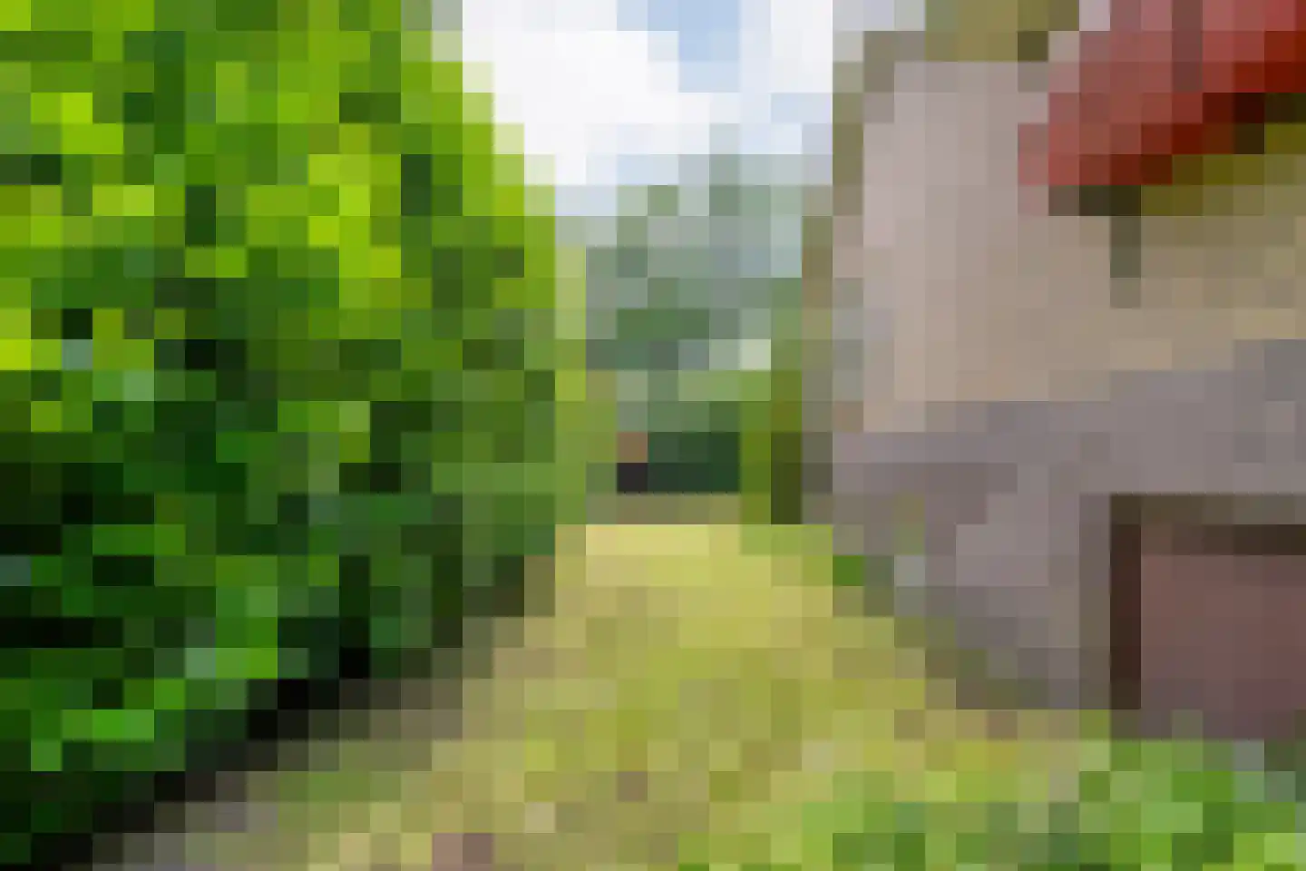 Gijsselterweg 27 Ruinen thumbnail 32