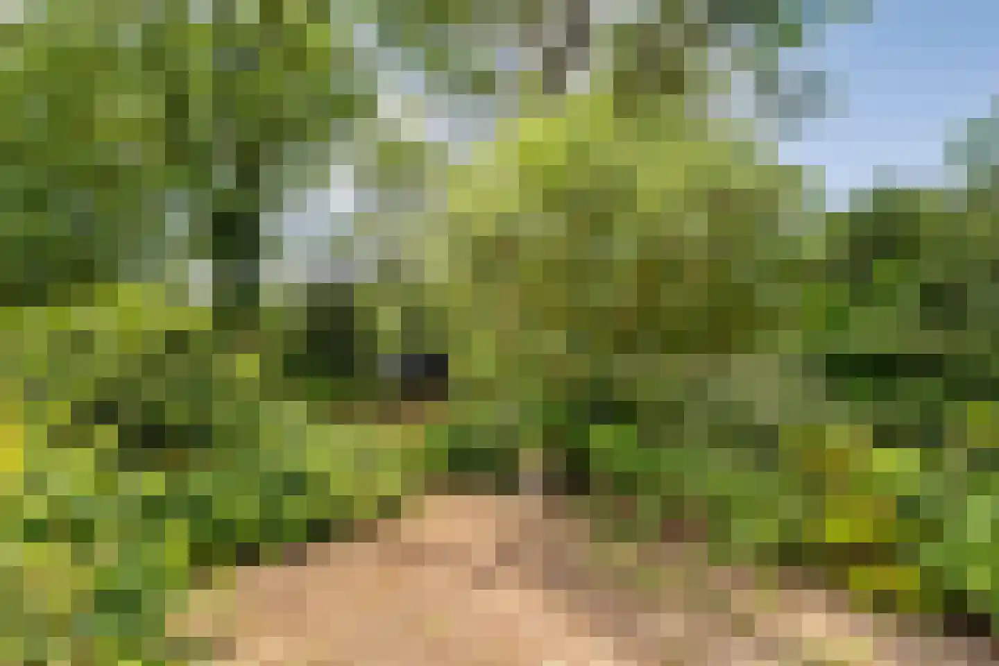Gijsselterweg 27 Ruinen thumbnail 34