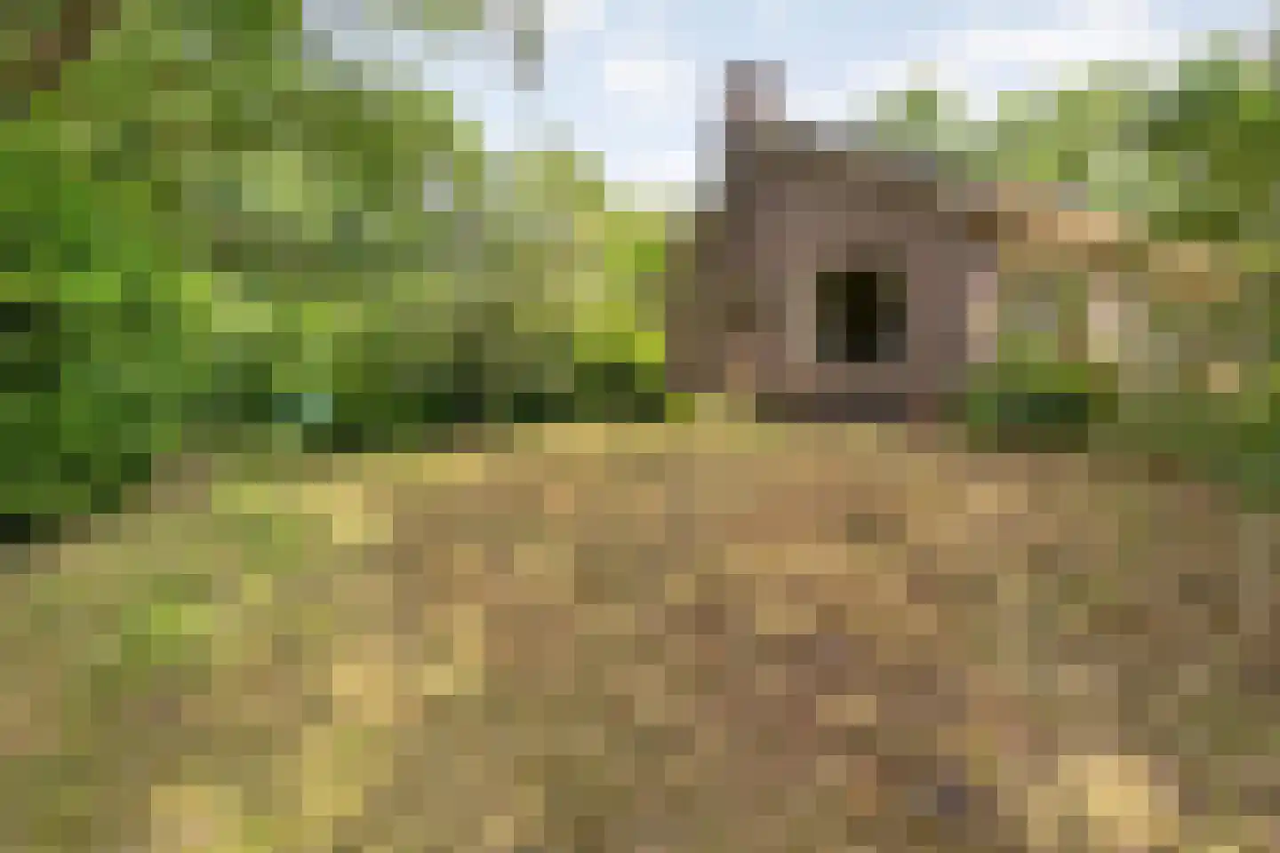 Gijsselterweg 27 Ruinen thumbnail 35