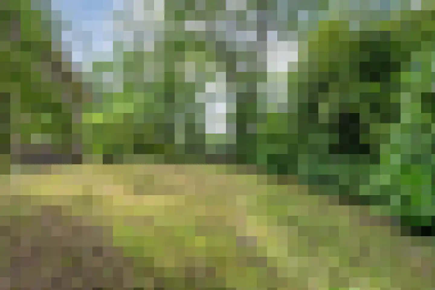 Gijsselterweg 27 Ruinen thumbnail 36