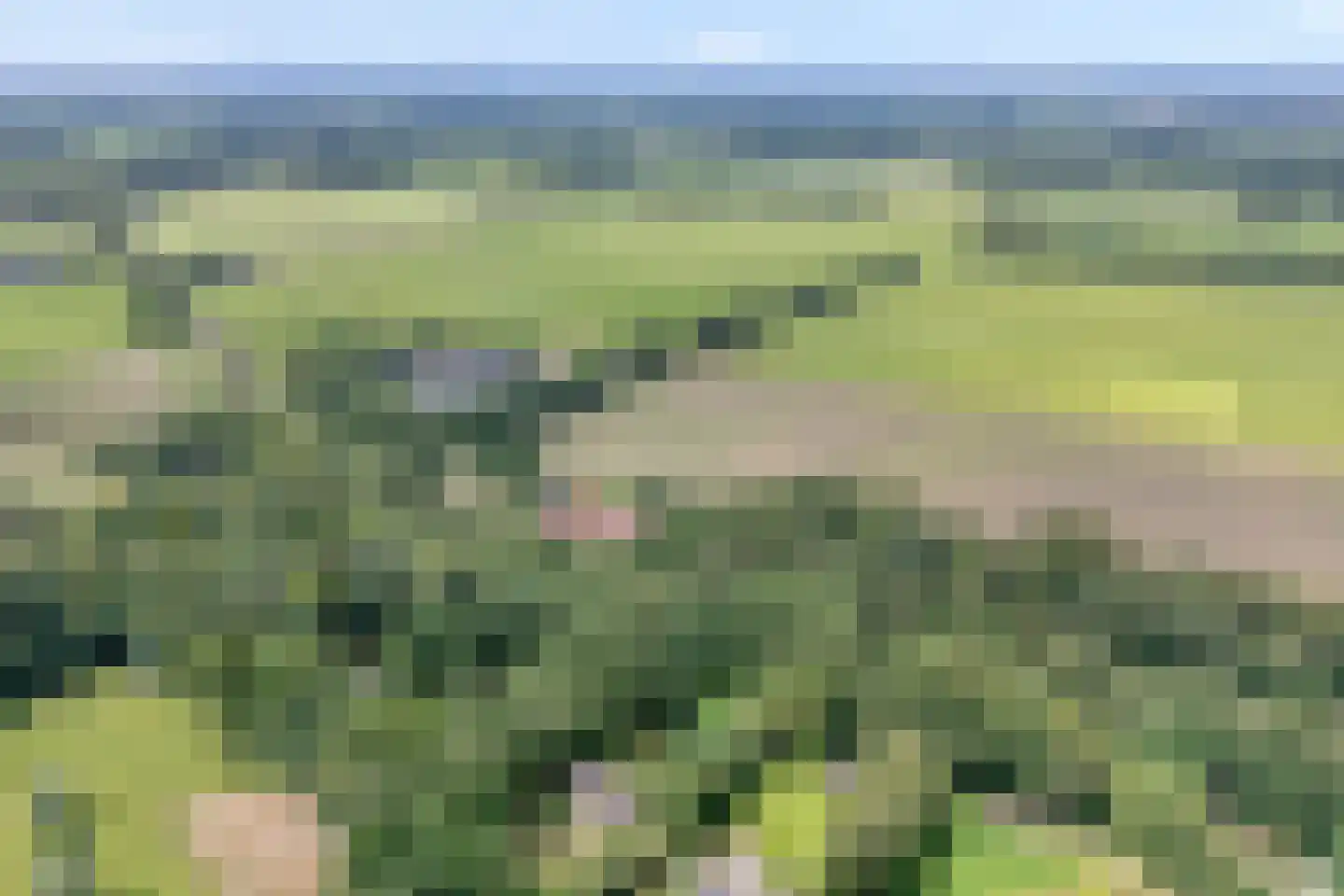 Gijsselterweg 27 Ruinen thumbnail 4