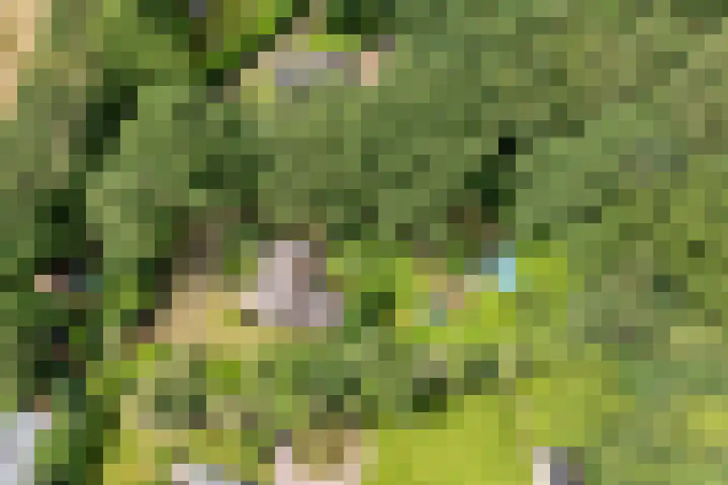 Gijsselterweg 27 Ruinen thumbnail 5