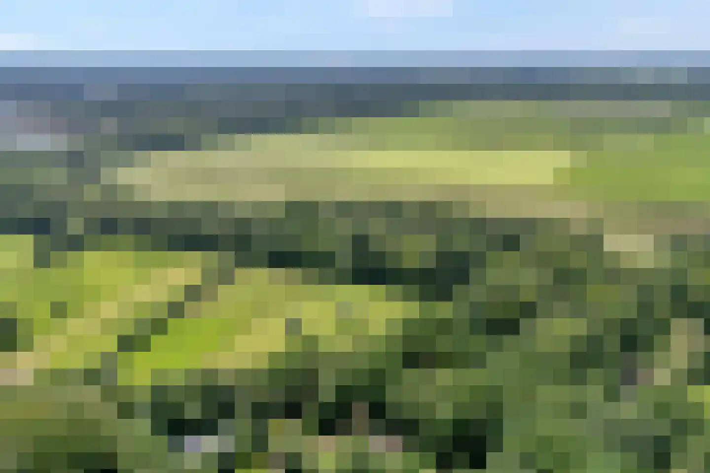 Gijsselterweg 27 Ruinen thumbnail 6
