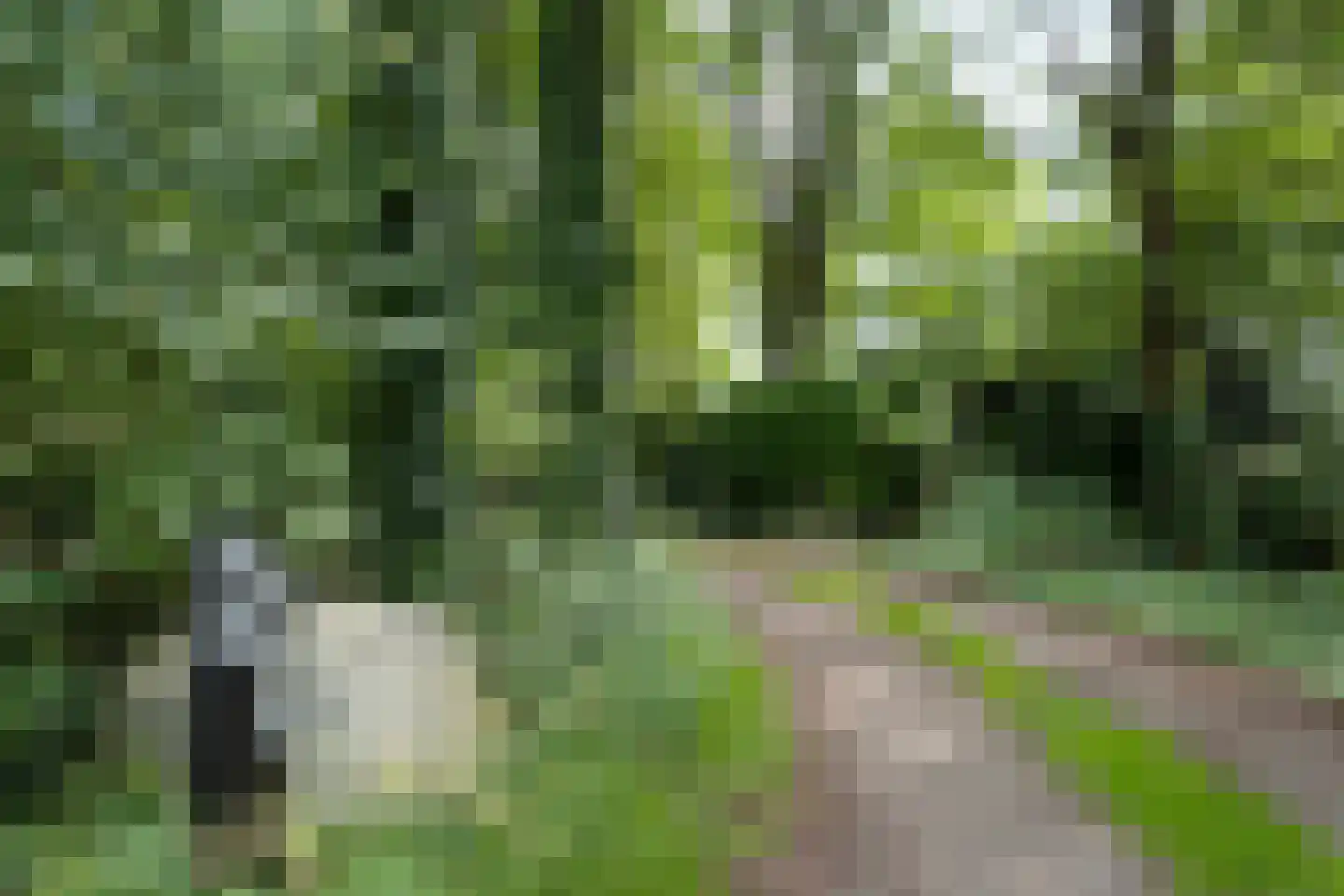 Gijsselterweg 27 Ruinen thumbnail 7