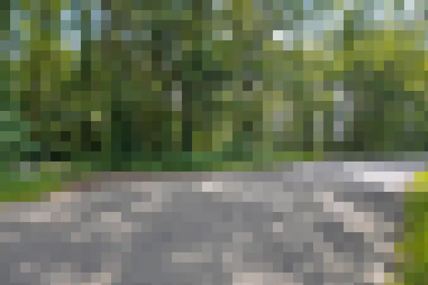 Gijsselterweg 27 Ruinen thumbnail 9