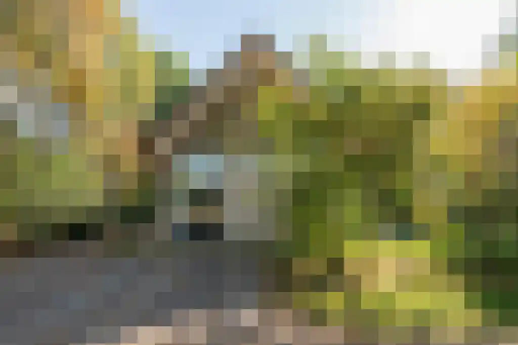 Gijsselterweg 30 11 Ruinen thumbnail 33