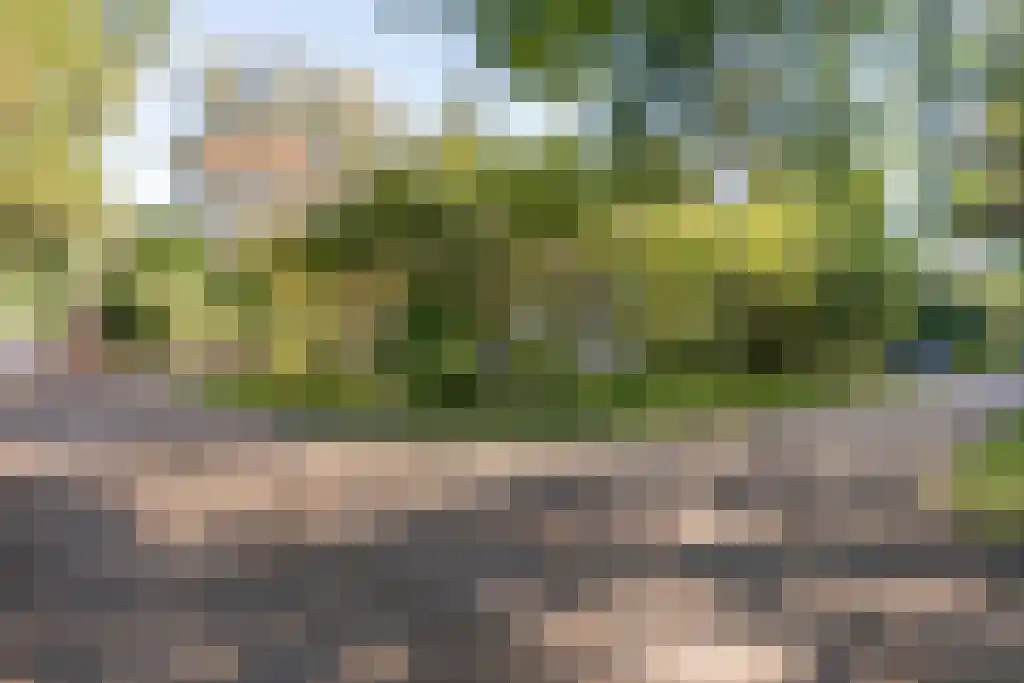 Gijsselterweg 30 11 Ruinen thumbnail 34